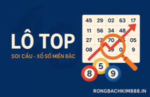 Lô top soi cầu xổ số miền Bắc với bảng thống kê, kính lúp, bóng lô tô và tên trang rongbachkim888.in