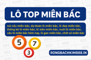 Lô top miền Bắc hôm nay – Thống kê các con số dễ về nhất từ Rồng Bạch Kim 888