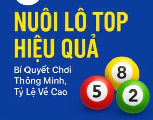 Nuôi lô top hiệu quả – bí quyết chơi thông minh, tỷ lệ về cao, chiến lược an toàn cho người chơi lô đề miền Bắc