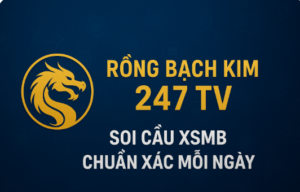 Rồng Bạch Kim 247 TV – Soi cầu XSMB chuẩn xác, phân tích thống kê 100 kỳ, chốt số may mắn mỗi ngày.