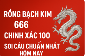 Rồng Bạch Kim 666 chính xác 100 - Soi cầu miền Bắc chuẩn nhất hôm nay