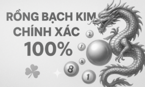 Dự đoán Rồng Bạch Kim chính xác 100 – phân tích cầu lô miền Bắc, chọn số đẹp hôm nay.