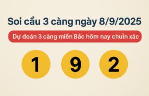 Soi 3 càng ngày 8/9/2025 – Dự đoán 3 càng miền Bắc hôm nay chuẩn xác với con số nổi bật 192.