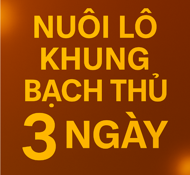 Nuôi lô khung bạch thủ 3 ngày: Giải pháp tối ưu cho người chơi chắc tay