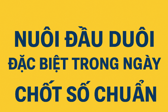 kinh nghiệm ch số