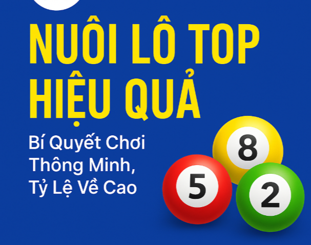 Nuôi Lô Top Hiệu Quả – Bí Quyết Về Bờ An Toàn Cho Người Chơi