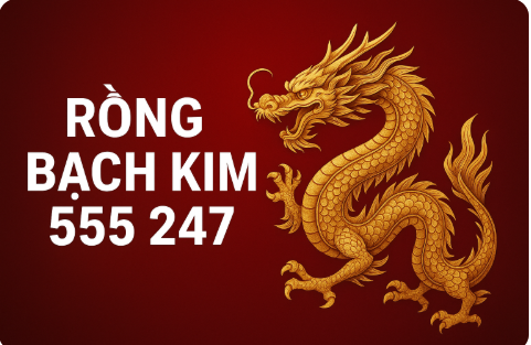 Rồng Bạch Kim 555 247 – Dự đoán chuẩn xác lô đề miền Bắc hôm nay