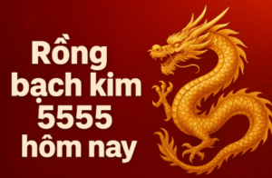 Rồng bạch kim 5555 hôm nay - Hình ảnh banner nền đỏ với rồng vàng và chữ nổi bật