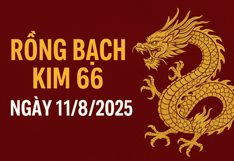 Rồng Bạch Kim 66 Ngày 11/8/2025 – Dự Đoán Số Đẹp Miền Bắc Chuẩn 100