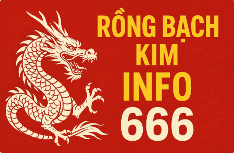 Rồng Bạch Kim 666 Info – Cẩm Nang Soi Cầu Chuẩn Xác Nhất 2025