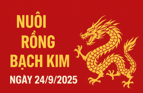Nuôi Rồng Bạch Kim ngày 24/9/2025 – Soi cầu và dự đoán chính xác nhất
