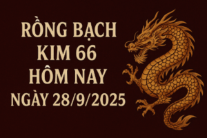 Hình ảnh rồng bạch kim 66 hôm nay ngày 28/9/2025 soi cầu lô đề chuẩn xác