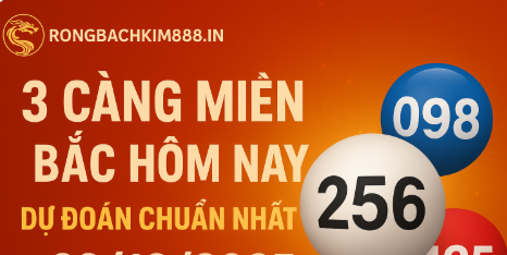 kinh nghiệm ch số