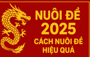 Hình ảnh banner Nuôi đề 2025 với rồng vàng trên nền đỏ, biểu trưng cho may mắn và tài lộc, thể hiện chủ đề cách nuôi đề hiệu quả nhất năm 2025.