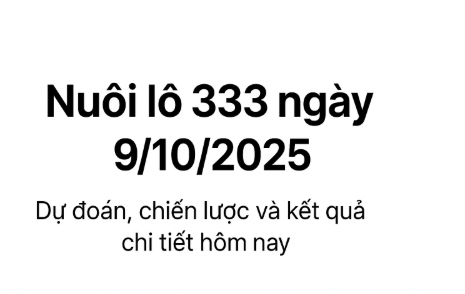 Nuôi lô 333 từ ngày 9/10/2025 – Nhật ký và phân tích