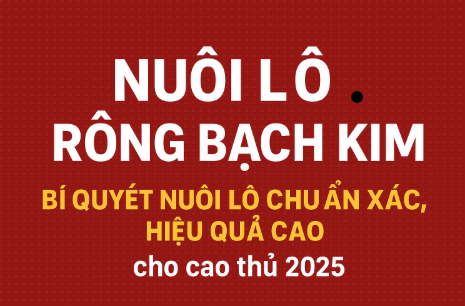 NUÔI LÔ RỒNG BẠCH KIM – BÍ QUYẾT TRÚNG LỚN CHO ANH EM LÔ THỦ 2025