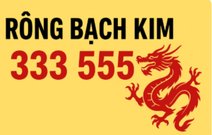 Rồng bạch kim 333 555 dự đoán lô đề miền Bắc ngày hôm nay chuẩn xác nhất
