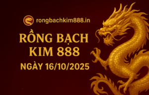 Hình ảnh Rồng Bạch Kim 888 ngày 16/10/2025 với rồng vàng uốn lượn trên nền đỏ đen, chữ vàng nổi bật và logo rongbachkim888.in – biểu tượng cho may mắn, tài lộc và soi cầu chuẩn xác miền Bắc.