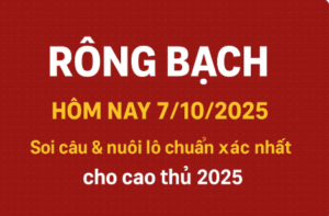 rồng bạch kim hôm nay ngày 7/10/2025, soi cầu rồng bạch kim, dự đoán lô đề chuẩn xác nhất miền Bắc, nuôi lô hiệu quả theo rồng bạch kim