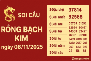 soi cầu rồng bạch kim ngày 08/11/2025, dự đoán lô miền Bắc hôm nay, cầu Pascal 888