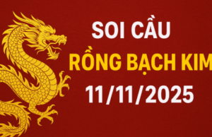 soi cầu rồng bạch kim ngày 11/11/2025 - dự đoán xổ số miền Bắc hôm nay chuẩn xác nhất