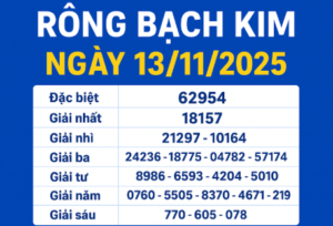 Kết quả soi cầu Rồng Bạch Kim ngày 13/11/2025 – Dự đoán lô đề miền Bắc chuẩn xác nhất hôm nay.